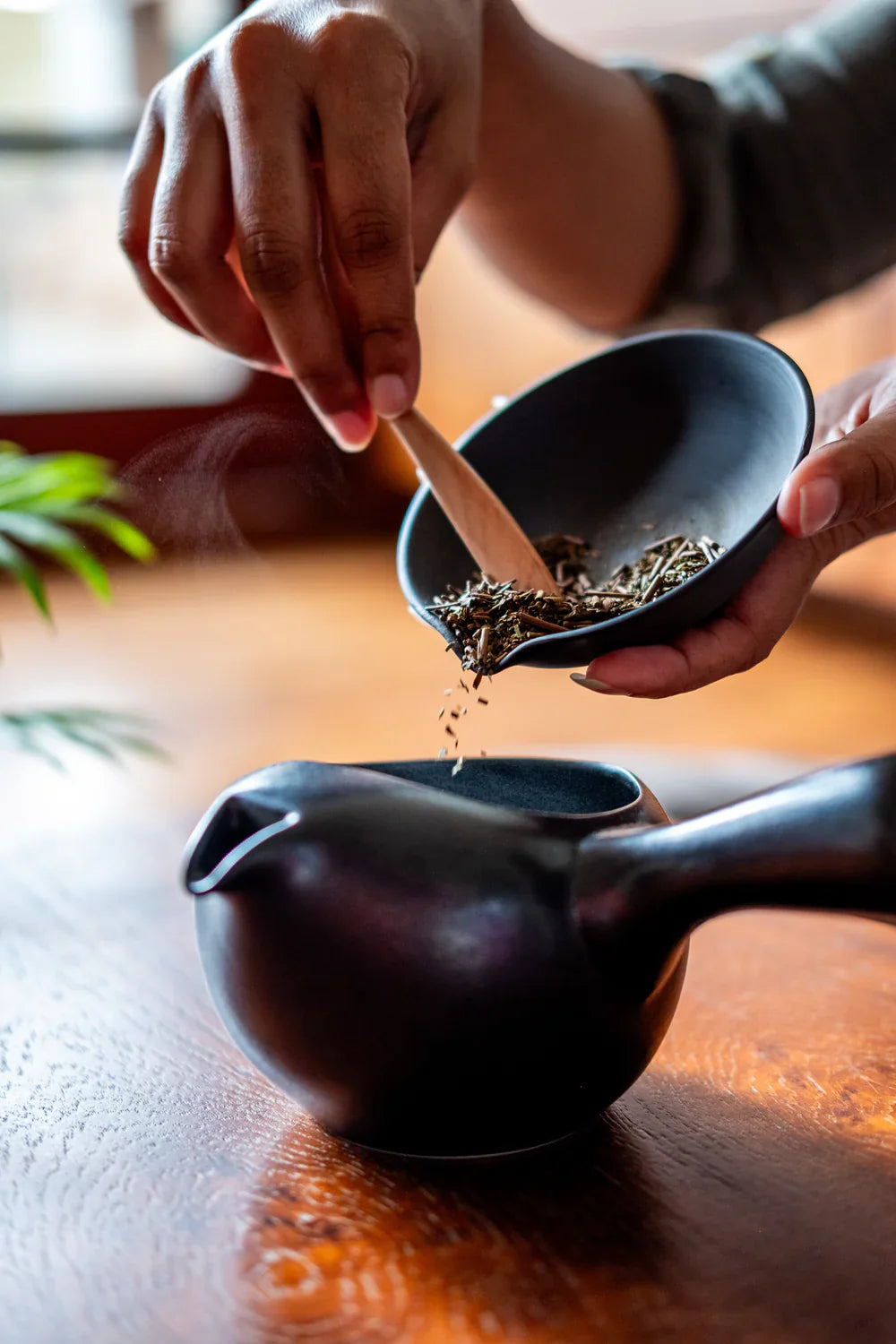 Premium Loose Leaf Tea Collection